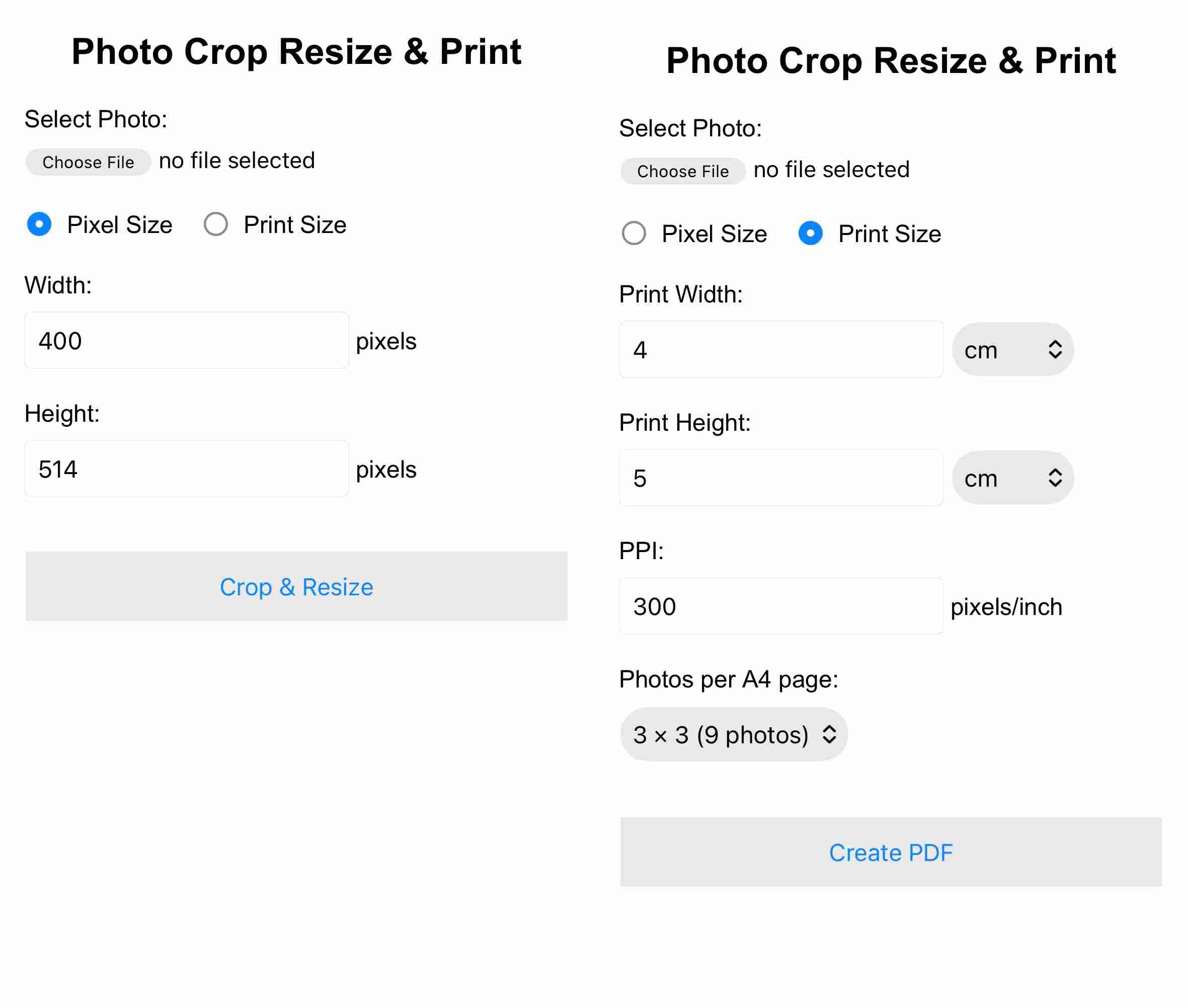 Photo Crop Resize & Print application